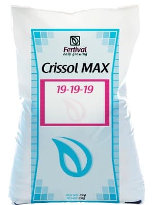 Крісол Макс 19-